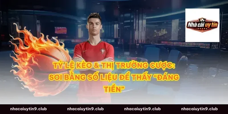 Tỷ lệ kèo & thị trường cược: Soi bằng số liệu để thấy “đáng tiền”