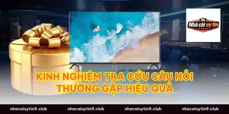 Kinh nghiệm tra cứu câu hỏi thường gặp hiệu quả