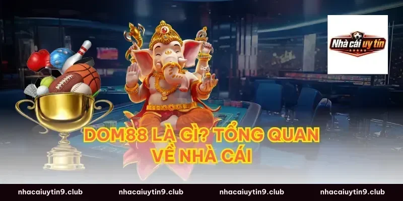Dom88 Là Gì? Tổng Quan Về Nhà Cái