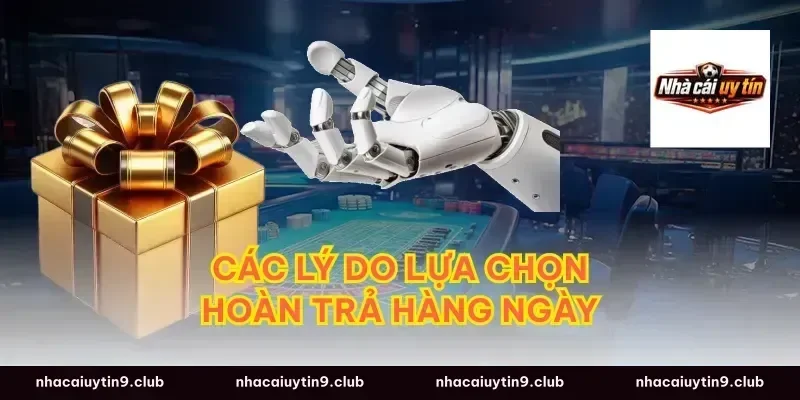 Các Lý Do Lựa Chọn Hoàn Trả Hàng Ngày
