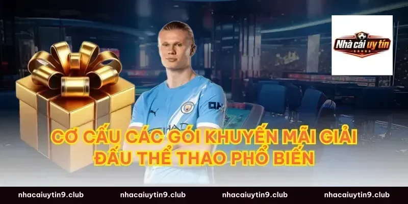 Cơ cấu các gói khuyến mãi giải đấu thể thao phổ biến
