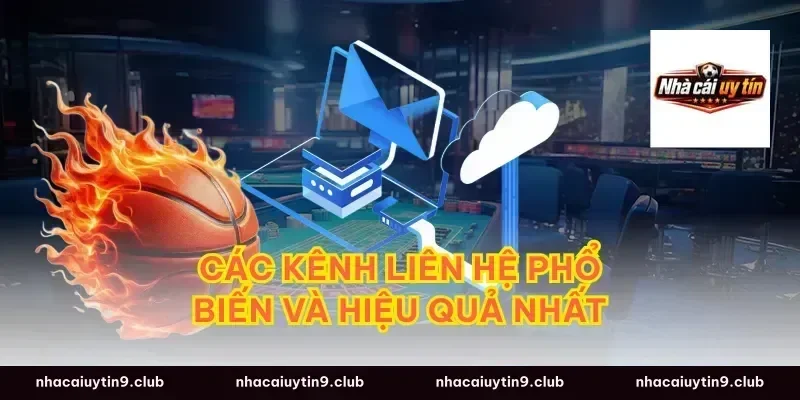 Các Kênh Liên Hệ Phổ Biến Và Hiệu Quả Nhất
