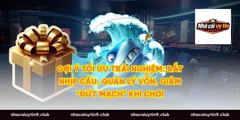Gợi ý tối ưu trải nghiệm: bắt nhịp cầu, quản lý vốn, giảm “đứt mạch” khi chơi