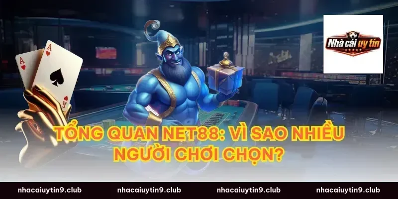 Tổng quan Net88: Vì sao nhiều người chơi chọn?