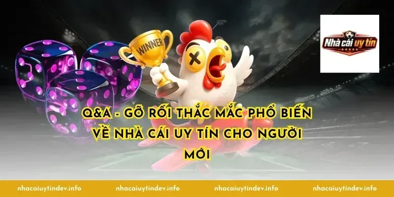 Q&A - Gỡ rối thắc mắc phổ biến về nhà cái uy tín cho người mới