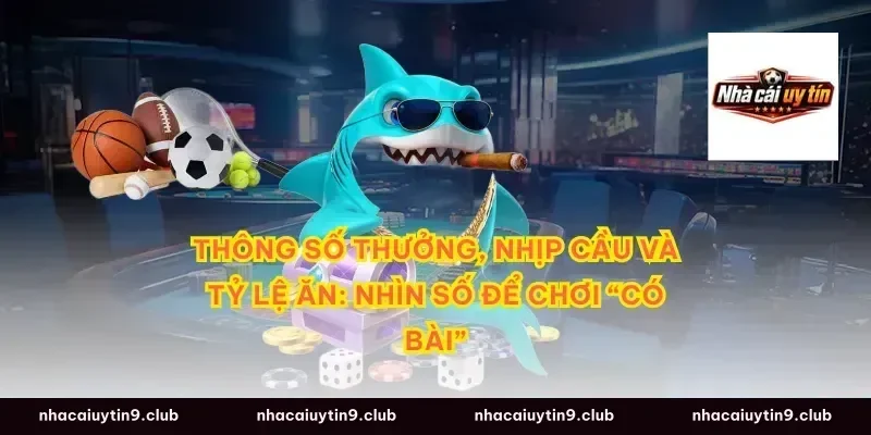 Thông số thưởng, nhịp cầu và tỷ lệ ăn: nhìn số để chơi “có bài”