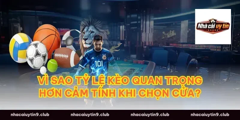 Vì sao tỷ lệ kèo quan trọng hơn cảm tính khi chọn cửa?