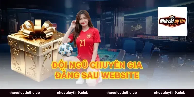 Đội Ngũ Chuyên Gia Đằng Sau Website