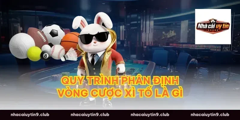 Quy trình phân định vòng cược xì tố là gì